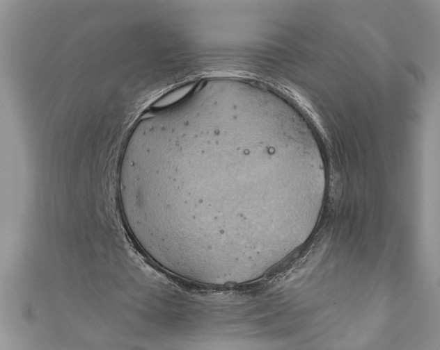 X0000111030385200907161329