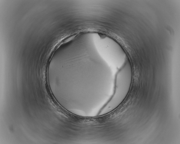 X0000111030386200907161329