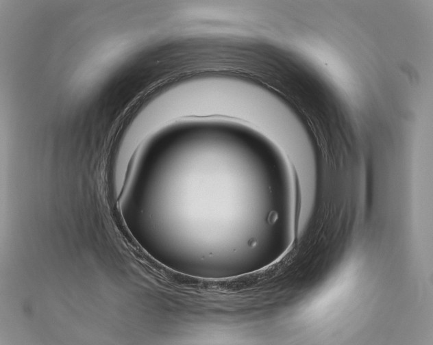 X0000111030387200907161329