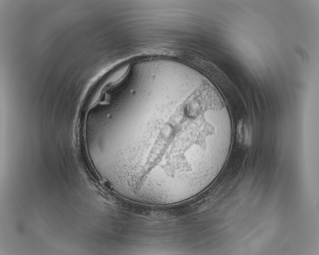 X0000111030388200907161329