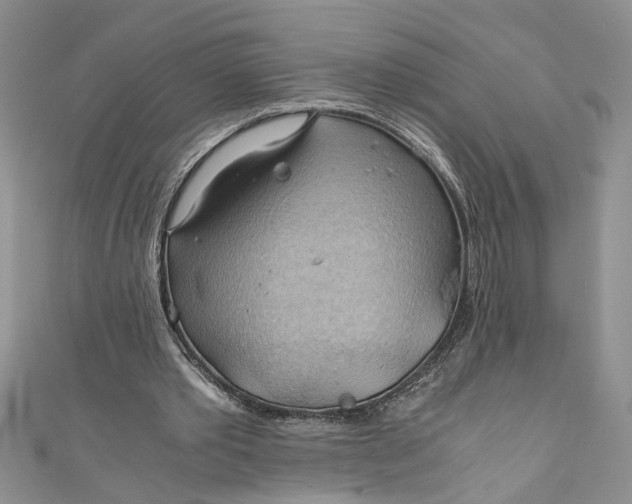 X0000111030389200907161329