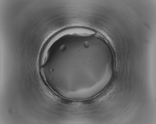 X0000111030391200907161329