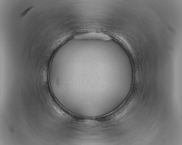 X0000111030393200907161329