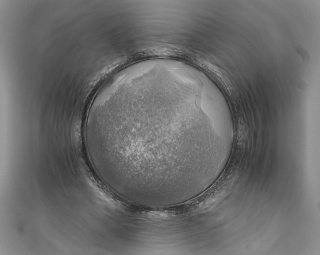 X0000111030394200907161329