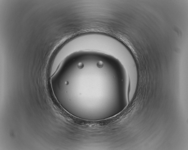 X0000111030395200907161329