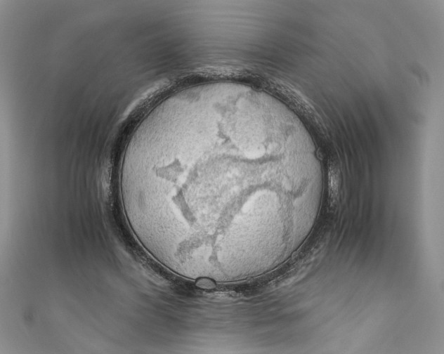 X0000111030396200907161329