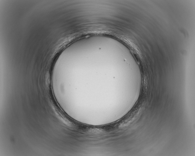 X0000111030397200907161329