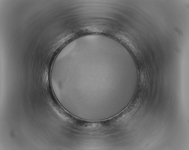 X0000111030398200907161329