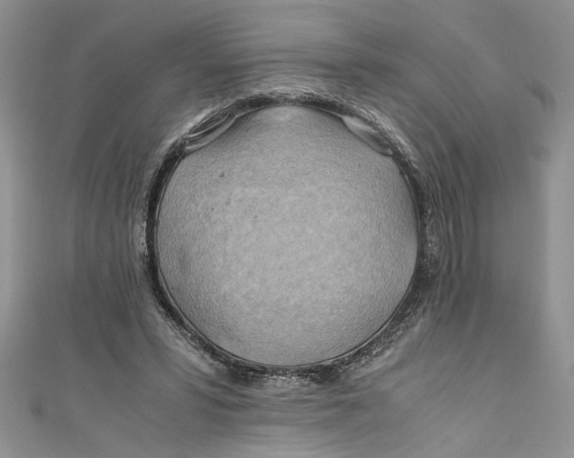 X0000111030399200907161329