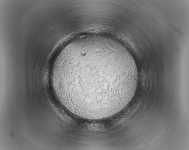 X0000111030400200907161329