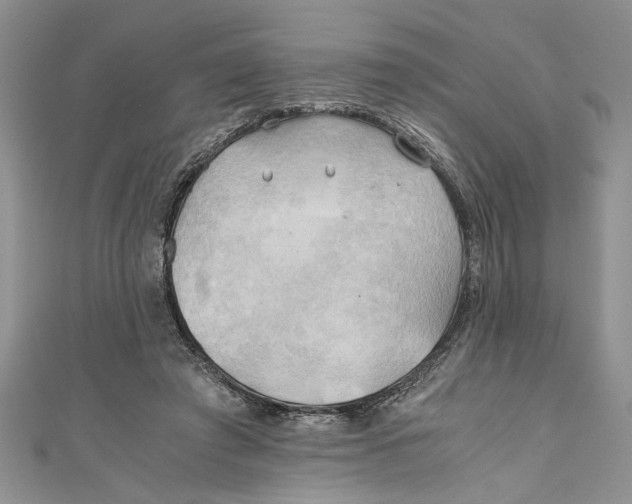 X0000111030401200907161329