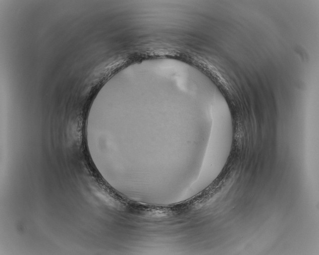 X0000111030402200907161329