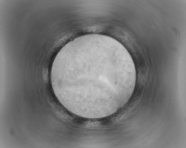 X0000111030403200907161329