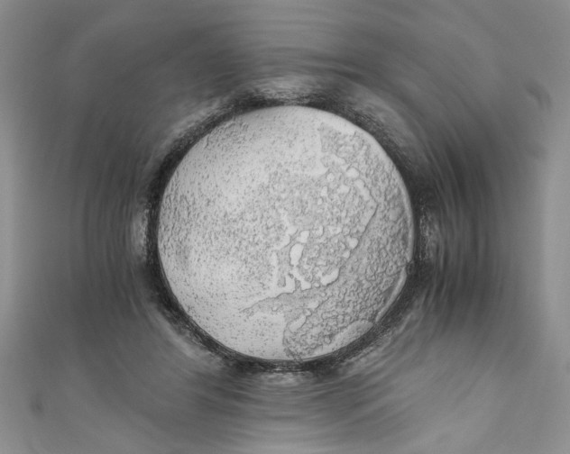 X0000111030404200907161329