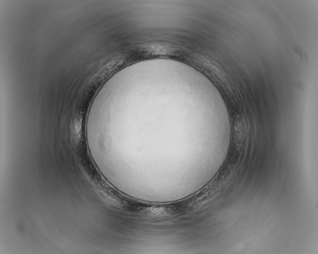 X0000111030406200907161329