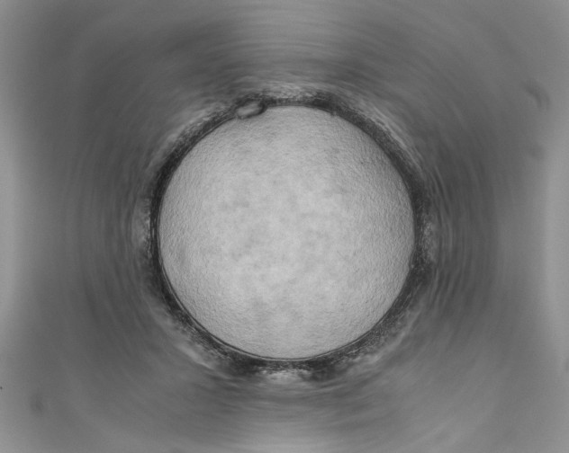 X0000111030407200907161329