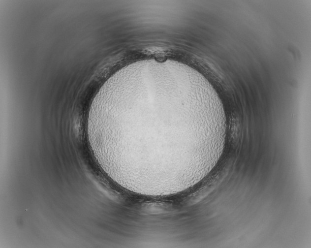 X0000111030408200907161329