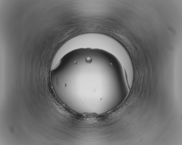 X0000111030409200907161329