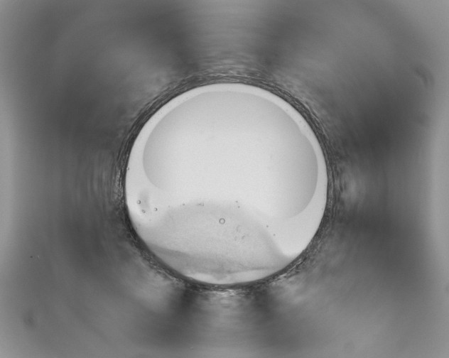 X0000111030411200907161328