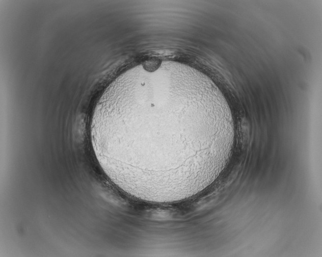 X0000111030412200907161328