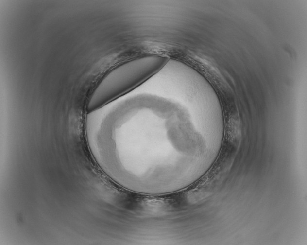 X0000111030413200907161328