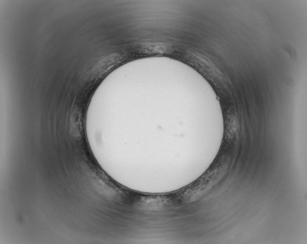 X0000111030414200907161328