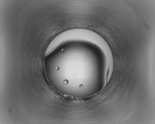 X0000111030415200907161328