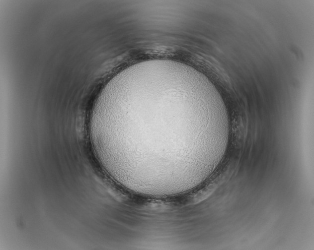 X0000111030416200907161328