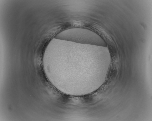 X0000111030417200907161328