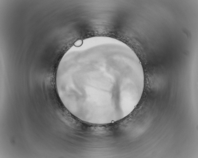 X0000111030419200907161328