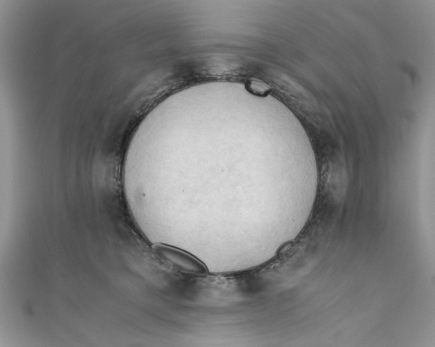 X0000111030421200907161328