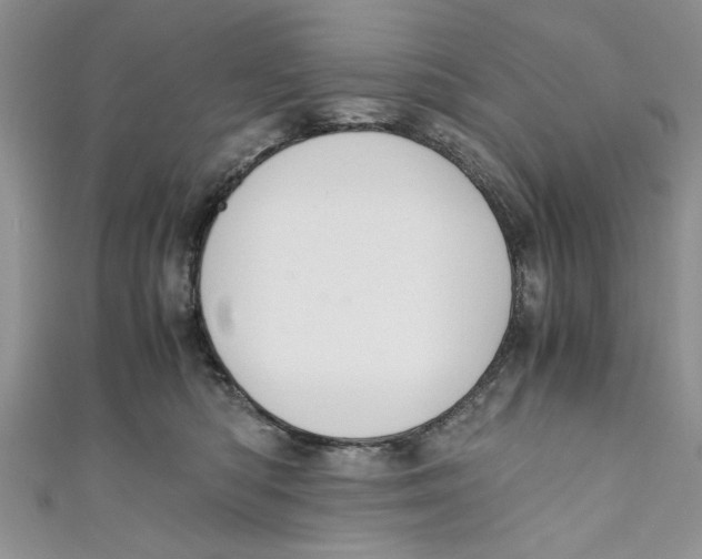 X0000111030422200907161328