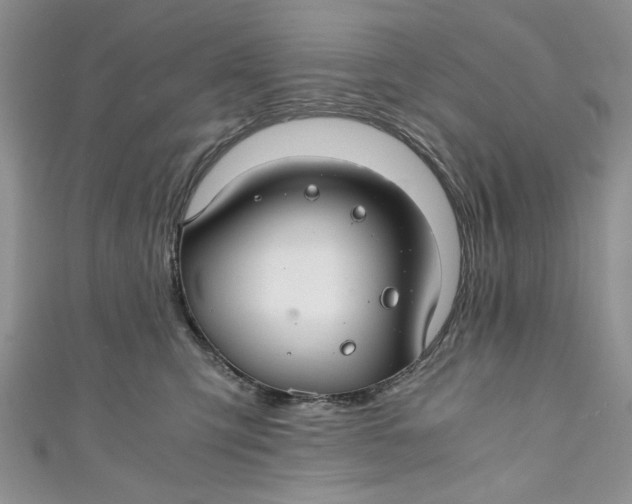 X0000111030423200907161328