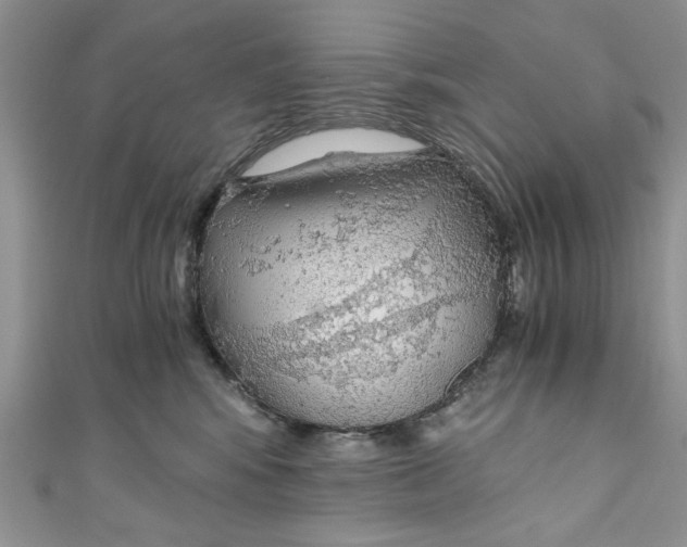 X0000111030424200907161328