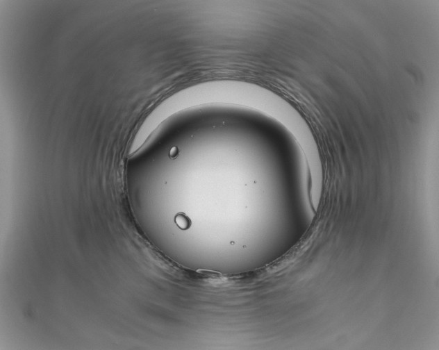 X0000111030425200907161328