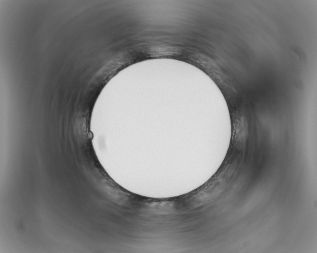 X0000111030426200907161328