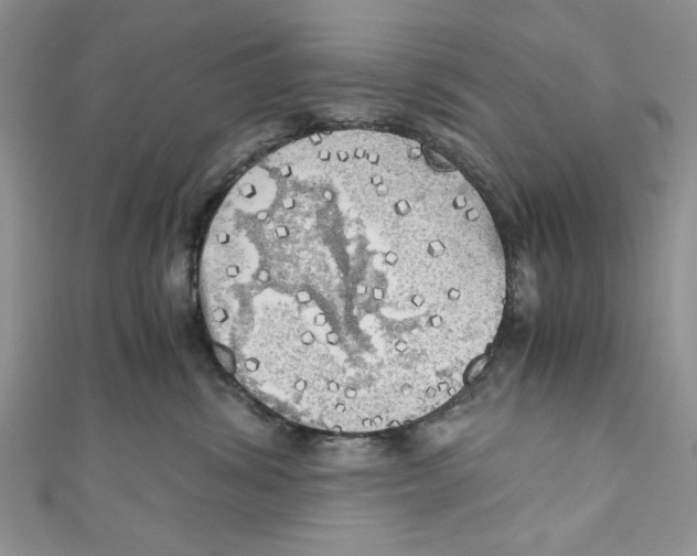 X0000111030428200907161328