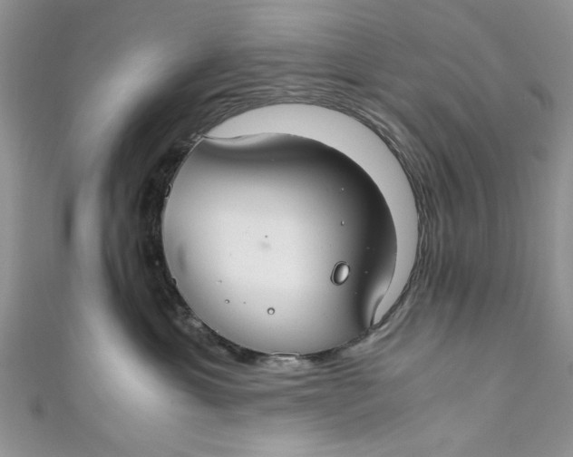 X0000111030429200907161328