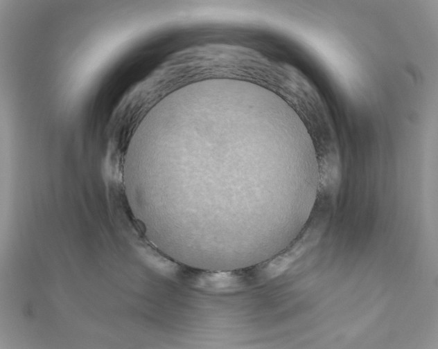 X0000111030431200907161328