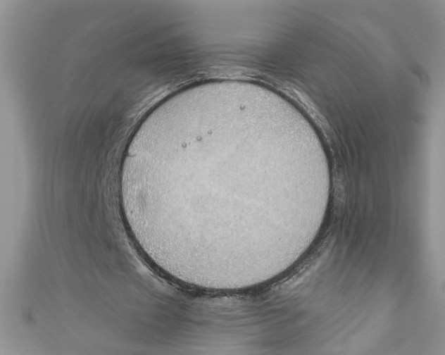 X0000111030433200907161328