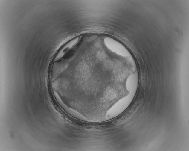 X0000111030434200907161328