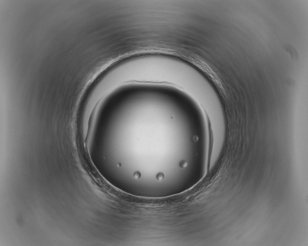 X0000111030436200907161328