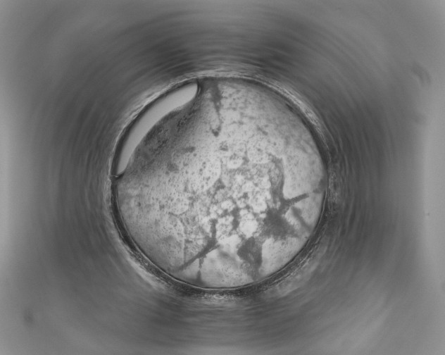 X0000111030437200907161328