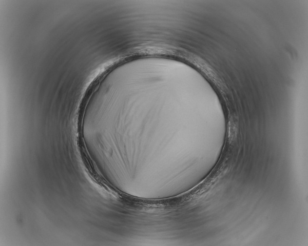 X0000111030438200907161328