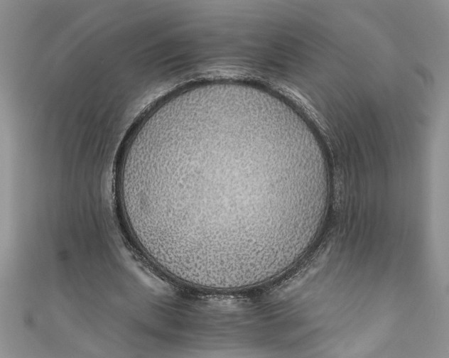 X0000111030439200907161328