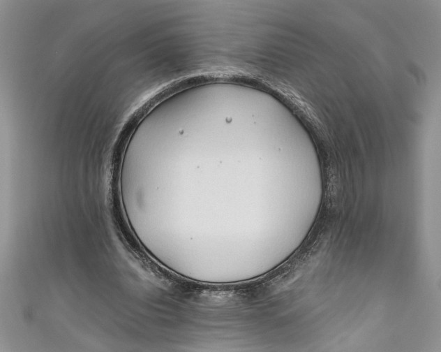 X0000111030440200907161328