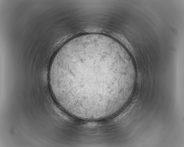 X0000111030441200907161328