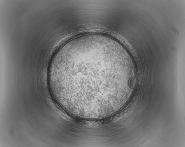 X0000111030442200907161328