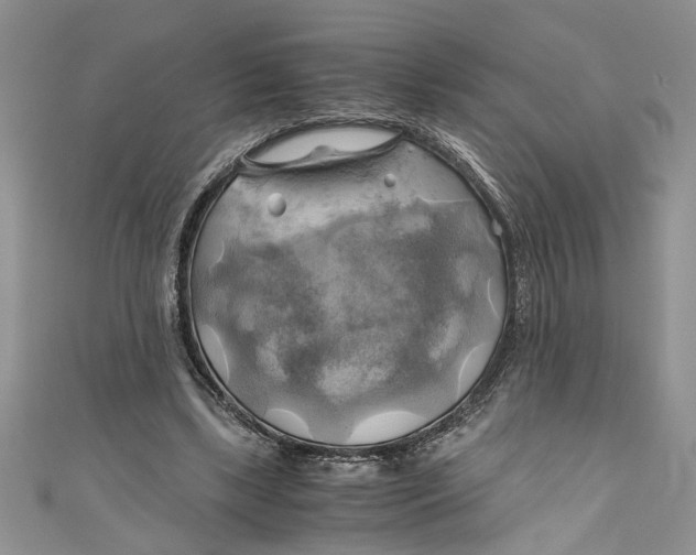 X0000111030443200907161328