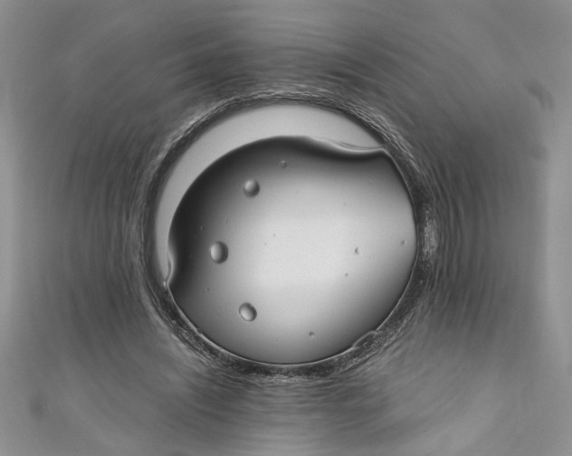 X0000111030444200907161328